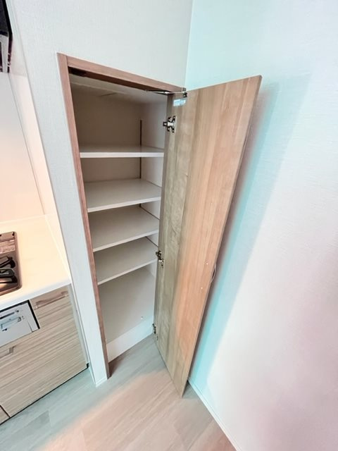 レジディア御茶ノ水プレイスの収納|※写真は同タイプの別室になります