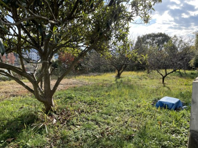 【外観】 | 久原２丁目　売地