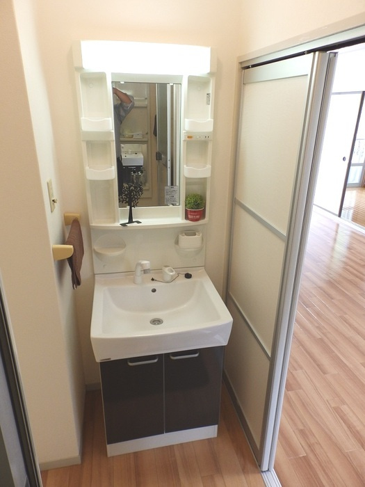 プレジールスミダ B棟の洗面所