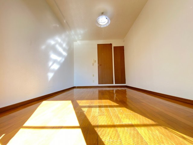 サウスビュウハイツの洋室