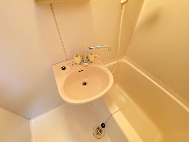サウスビュウハイツの洗面所
