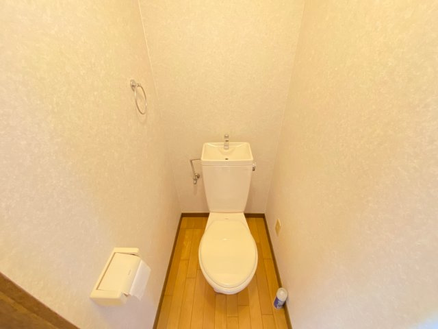サウスビュウハイツのトイレ