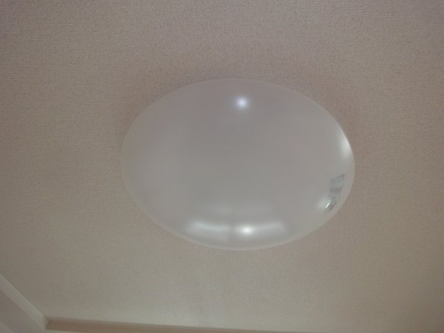 【その他】 | ララパルーザ