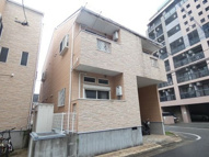 マリーゴールドの画像