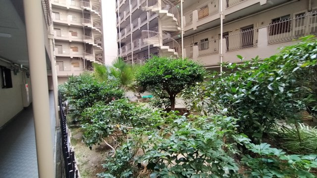 シャトー幸福のその他共用部分|植木は綺麗に手入れされており、気持ちがいいです♪