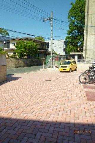 ルピナスのその他