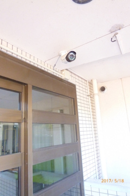 【その他】 | ルピナス