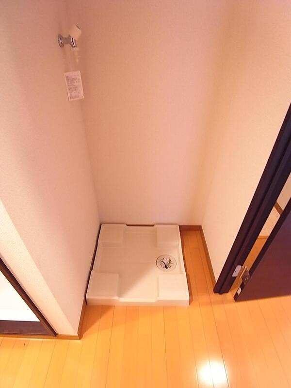 リブリ・グランディスのその他