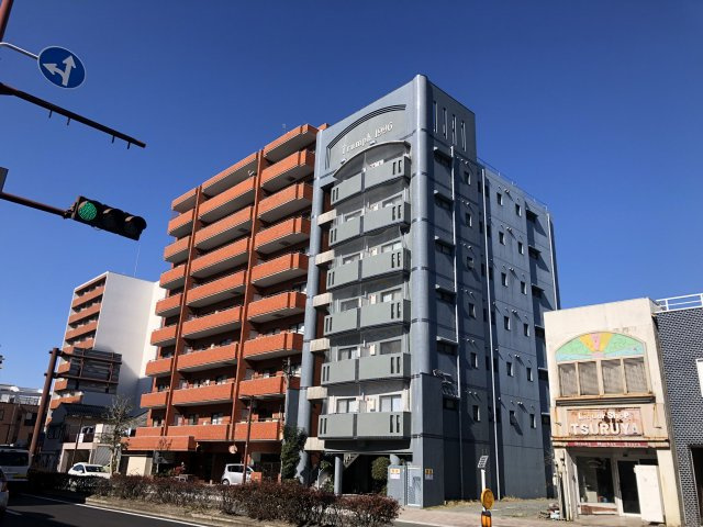 トランプの外観