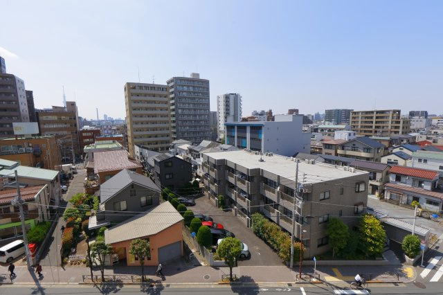 ザパームスシンコイワの展望