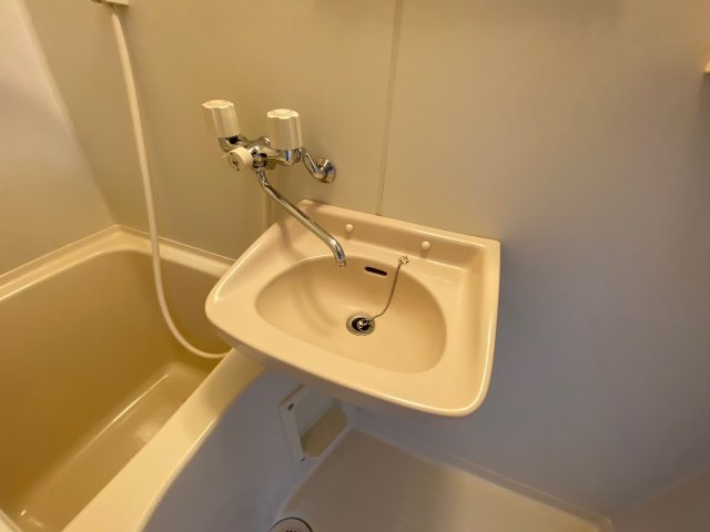 メゾンイシスの洗面所