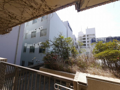 【展望】 | やませビル鵠沼