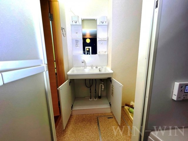 パーク サイド フジの洗面所