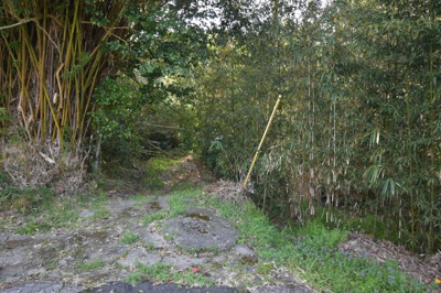 【外観】 | 永利町脇之前土地