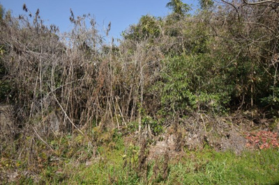 【外観】 | 永利町大手土地