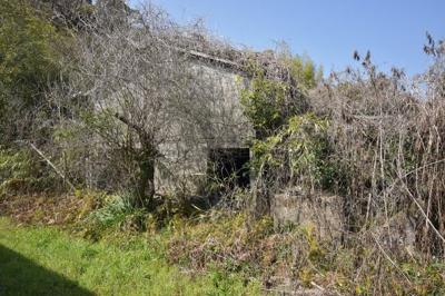 【外観】 | 永利町大手土地