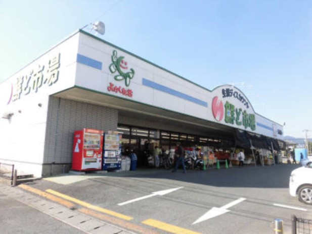 フィオレの周辺