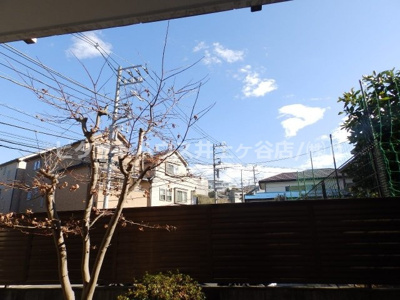 【展望】 | エレーナ