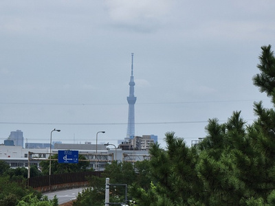 【展望】 | 美浜東エステート3号棟
