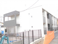 サンベルの画像