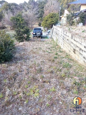 荒木町藤田のその他