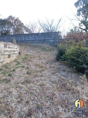 荒木町藤田のその他