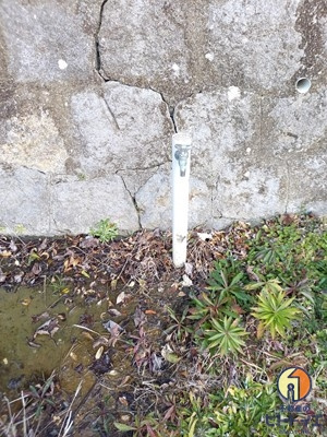 荒木町藤田