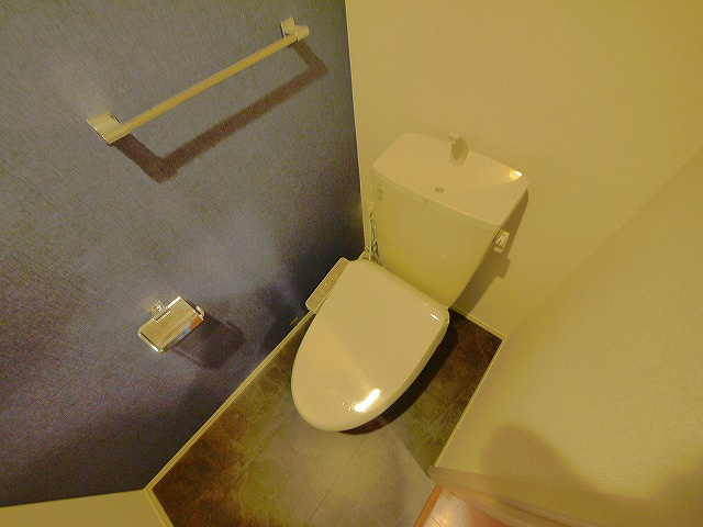ヴェルジェリコのトイレ|トイレです