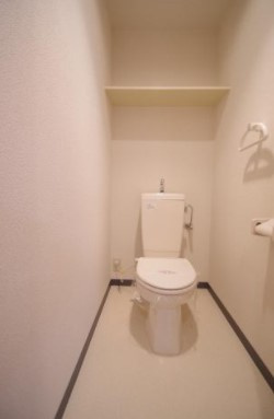 熊本市中央区本荘６丁目の賃貸マンションのトイレ