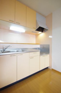 熊本市中央区本荘６丁目の賃貸マンションのキッチン