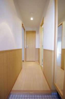 熊本市中央区本荘６丁目の賃貸マンションの玄関