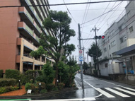グランパセオ新小岩の画像