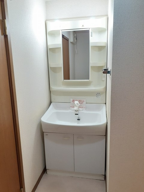 カーサエスタ弐番館の洗面所