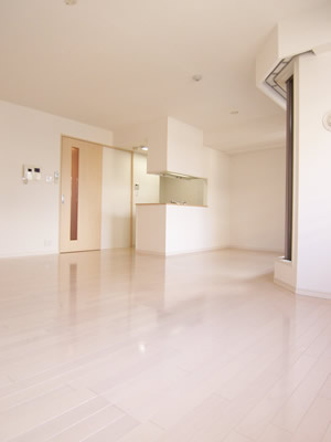 千代田区麹町２丁目の賃貸マンションのその他|リビング