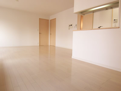 千代田区麹町２丁目の賃貸マンションのその他|リビング