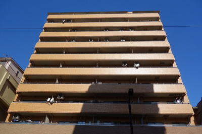 【外観】 | ダイアパレスステーションプラザ船橋本町 | ダイアパレスステーションプラザ船橋本町　鉄骨鉄筋コンクリート造14階建て