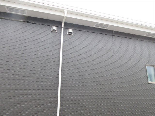 Lisiereの展望|Lisiere