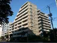 クレストフォルム南砂仙台堀川公園の画像