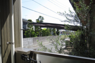 【展望】 | オリーヴァ花畑