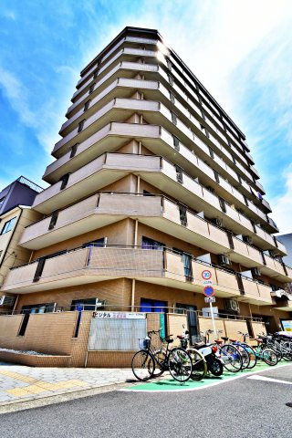 bijitaruminatomati