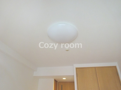 【設備】 | パークフラッツ江坂 | 照明器具付きです。