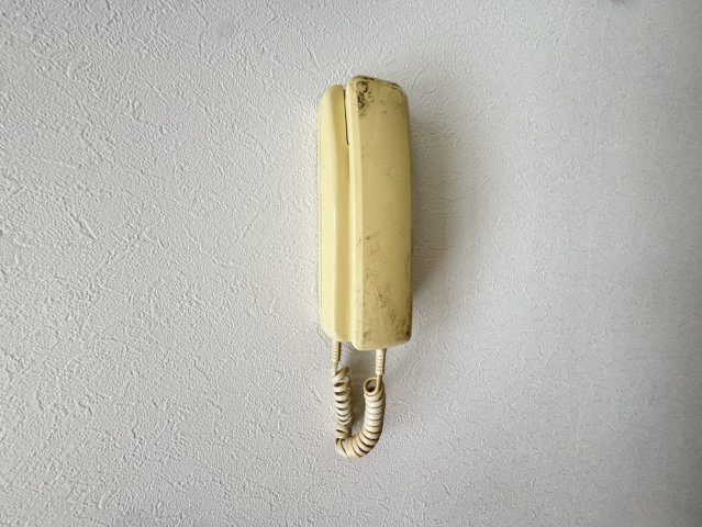 リバーサイドすみれのその他