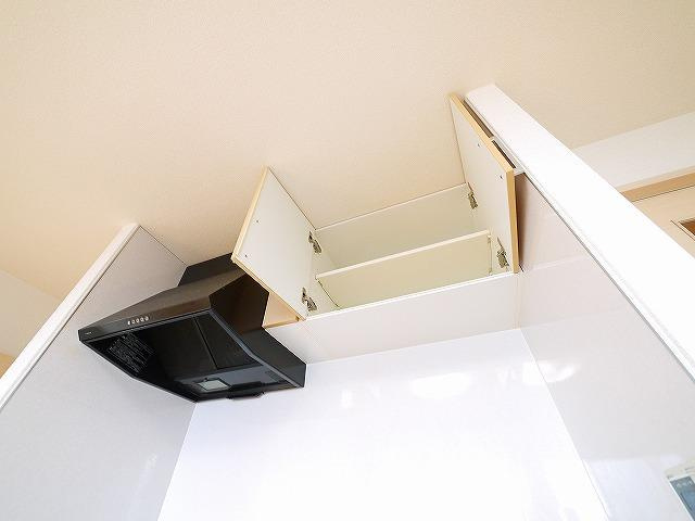 エクセレント天理の居間・リビング|ゆったりとスペースのある洗面所