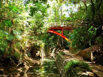 【周辺】 | エスセナーリオ等々力