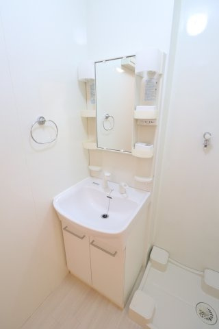 リヴィエール本町IIの洗面所