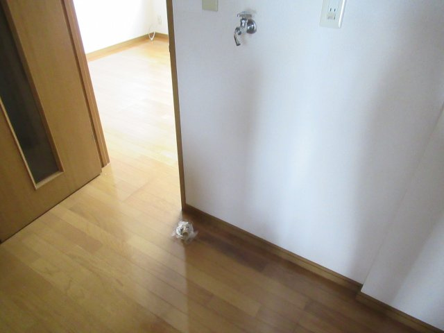 ヴィレッジマツナミ２１のその他