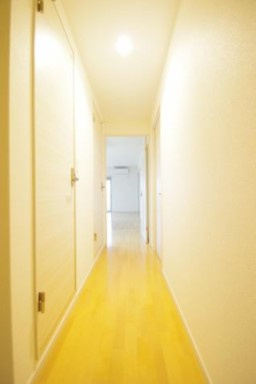 熊本市南区幸田１丁目の賃貸マンションの玄関