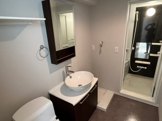 Vadoo｜名古屋市の賃貸ならMy賃貸の洗面所|Vadoo