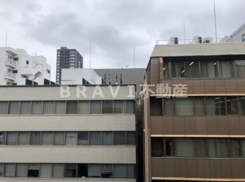 エスリードコート堺筋本町 BRAVI不動産の展望|南向きバルコニーです