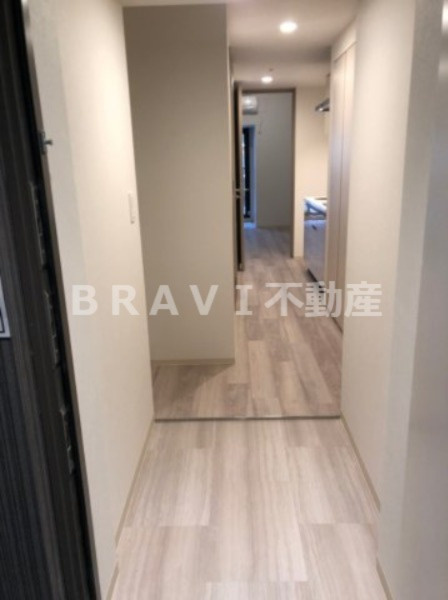 エスリードコート堺筋本町 BRAVI不動産の玄関|落ち着いた玄関です